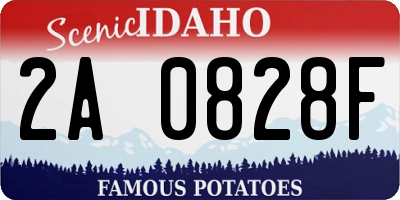 ID license plate 2A0828F