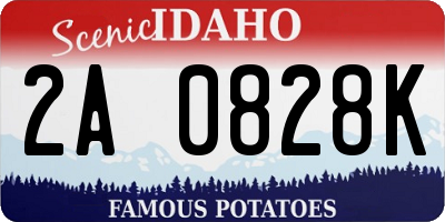 ID license plate 2A0828K