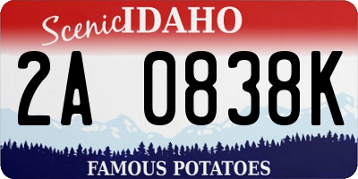ID license plate 2A0838K