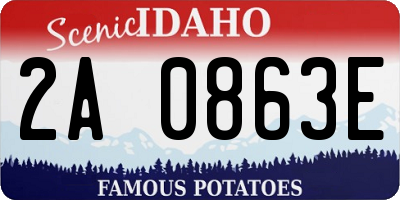 ID license plate 2A0863E