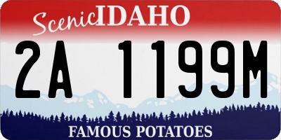 ID license plate 2A1199M