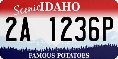 ID license plate 2A1236P
