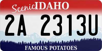 ID license plate 2A2313U