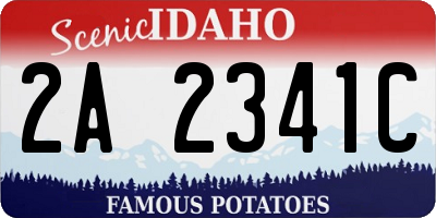 ID license plate 2A2341C