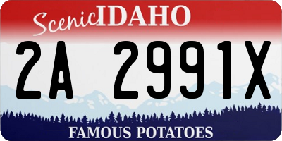 ID license plate 2A2991X
