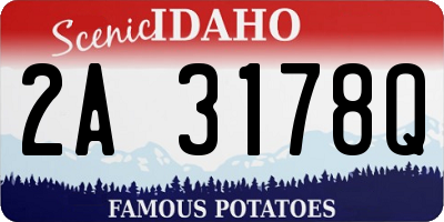 ID license plate 2A3178Q