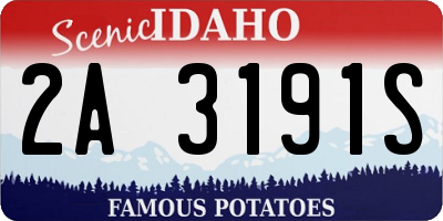 ID license plate 2A3191S