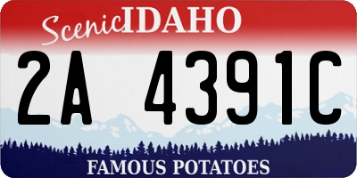 ID license plate 2A4391C