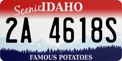 ID license plate 2A4618S