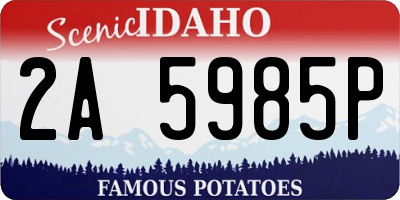 ID license plate 2A5985P