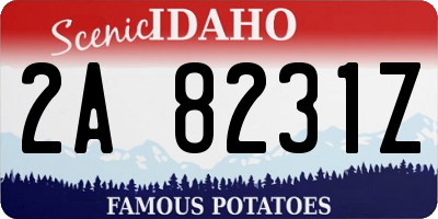 ID license plate 2A8231Z