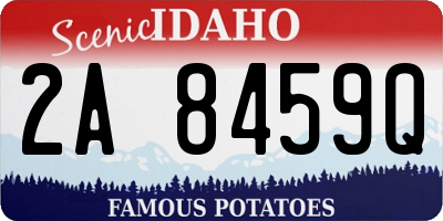 ID license plate 2A8459Q