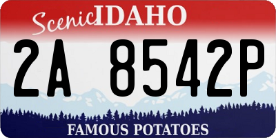 ID license plate 2A8542P