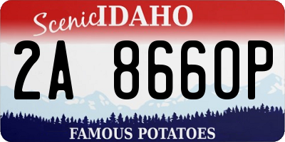 ID license plate 2A8660P
