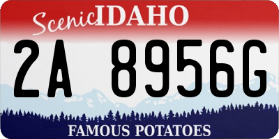 ID license plate 2A8956G