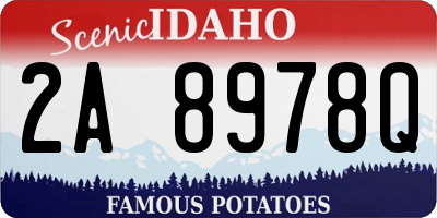 ID license plate 2A8978Q
