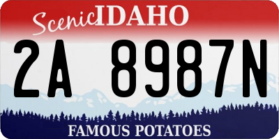 ID license plate 2A8987N