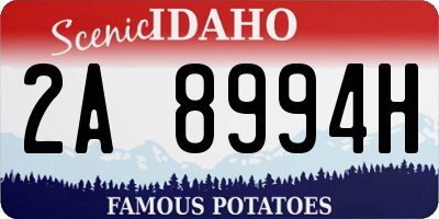 ID license plate 2A8994H