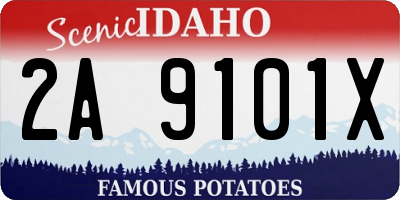 ID license plate 2A9101X