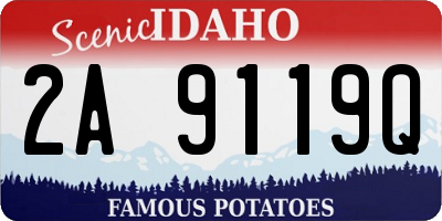 ID license plate 2A9119Q