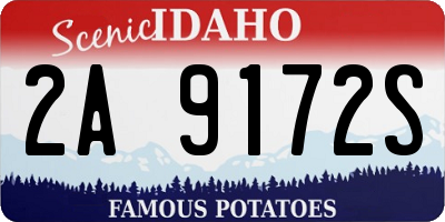 ID license plate 2A9172S