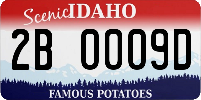 ID license plate 2B0009D