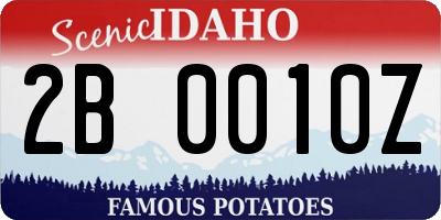 ID license plate 2B0010Z