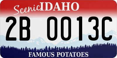 ID license plate 2B0013C