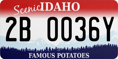 ID license plate 2B0036Y