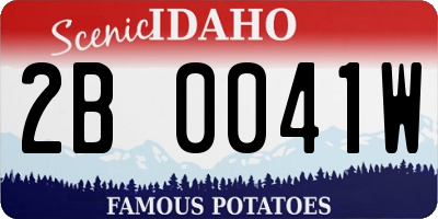 ID license plate 2B0041W
