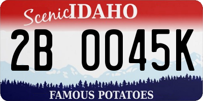 ID license plate 2B0045K