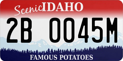 ID license plate 2B0045M