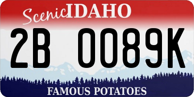 ID license plate 2B0089K