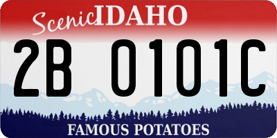ID license plate 2B0101C