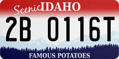 ID license plate 2B0116T