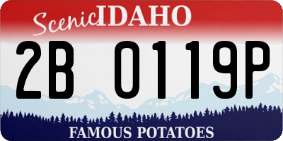 ID license plate 2B0119P