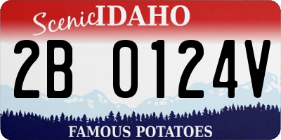 ID license plate 2B0124V