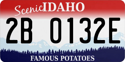 ID license plate 2B0132E