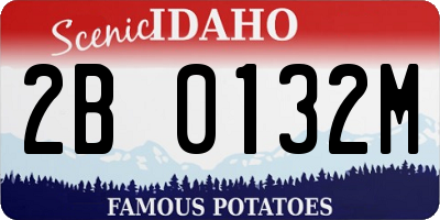 ID license plate 2B0132M