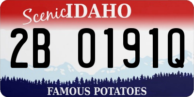 ID license plate 2B0191Q