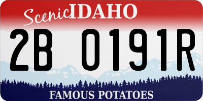 ID license plate 2B0191R