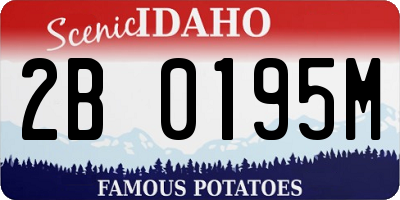 ID license plate 2B0195M