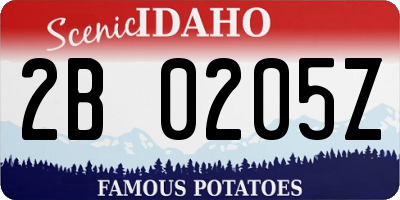 ID license plate 2B0205Z