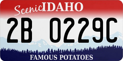 ID license plate 2B0229C