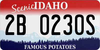 ID license plate 2B0230S