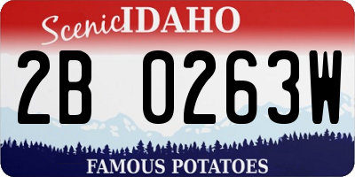 ID license plate 2B0263W