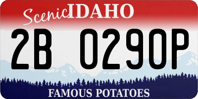 ID license plate 2B0290P