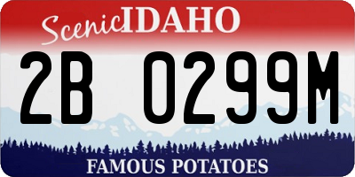 ID license plate 2B0299M