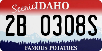 ID license plate 2B0308S