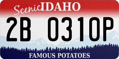 ID license plate 2B0310P